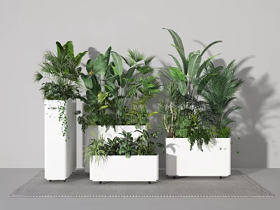 Modern Indoor Bonsai Potted Plants with Various Green Leaves in White Pots 3d model