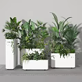 Modern Indoor Bonsai Potted Plants with Various Green Leaves in White Pots