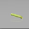Green Shiny Caterpillar with Segmented Body and Small Legs on Gray Background Showing Clear Reflection