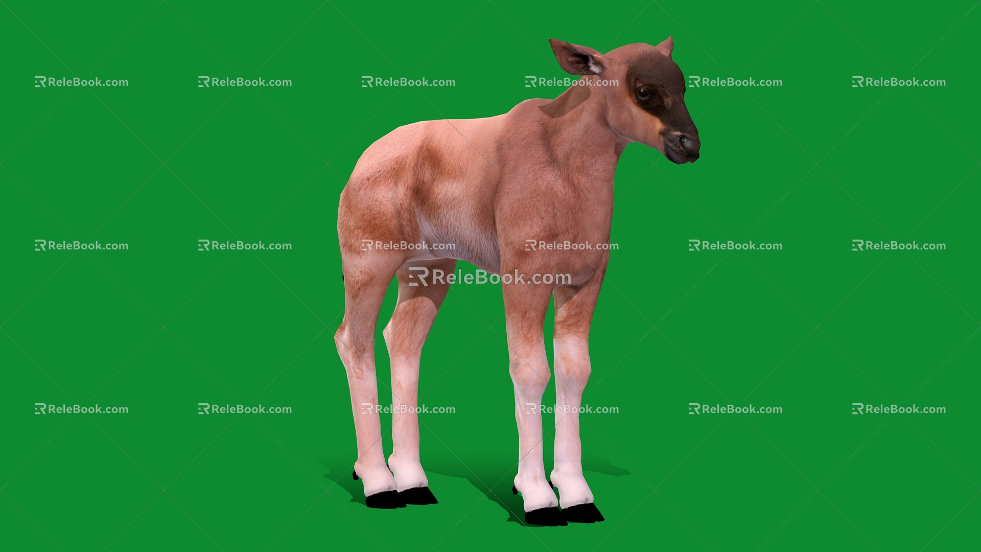 Hornhorse Antelope Antelope Goat Cartoon Animal Sheep 3d model