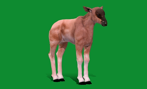 Hornhorse Antelope Goat Cartoon Animal Sheep 3d model