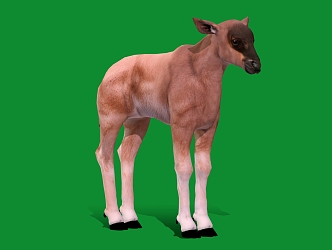 Hornhorse Antelope Goat Cartoon Animal Sheep 3d model