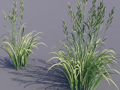 Green Decorative Grass Plants With Slender Curled Leaves And Shadow On Gray Background 3d model