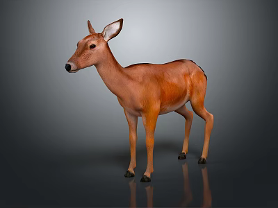 Realistic Brown Deer 3D Model With Smooth Fur Standing On Gray Background 3d model