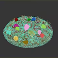Round Food Platter Decorated With Red Flowers And Green Leaves