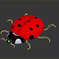 Cute 3D Ladybug Character With Red Body And Black Spots On Gray Background 3d model