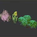 Various Green Plants And Yellow Flowers In Potted Decorative