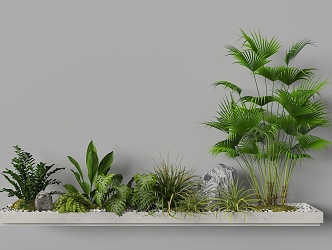 Indoor Landscape Fern Plant Heap Micro Terrain Tropical Plants 3d model