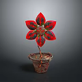 Red and Green Leafy Plant with Flower Shaped Leaves in Rustic Rusty Clay Pot