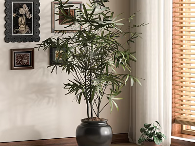 Large Leafy Potted Plant in Black Pot with Framed Pictures Wooden Blinds and Small Plant 3d model