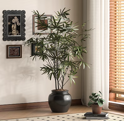 Large Leafy Potted Plant in Black Pot with Framed Pictures Wooden Blinds and Small Plant 3d model