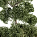 Lush Green Trees And Shrubs In Decorative Flower Bed And Planter Landscape Design