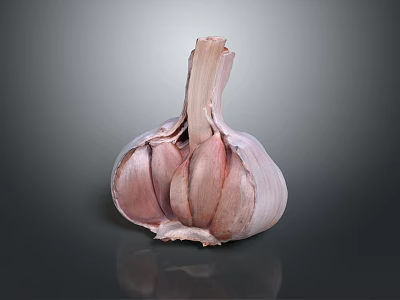 Fresh Garlic Bulb with Peeled Cloves and Pale Pink Skin on Dark Background 3d model