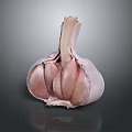 Fresh Garlic Bulb with Peeled Cloves and Pale Pink Skin on Dark Background