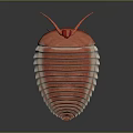 Red Segmented Creature Illustration With Striped Body And Antennae On Dark Background