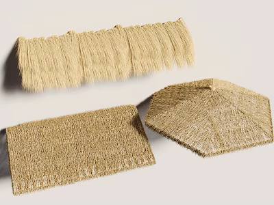 Natural Grass Woven Decor Items In Different Shapes For Home Decoration 3d model