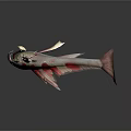 Vibrant Red And White Aquatic Fish With Long Barbels And Streamlined Body