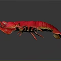 Striking Vibrant Red Lobster Aquatic Creature With Detailed Claws And Body Structure