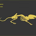 Realistic 3D Rendered Small Mammal Skeleton With Detailed Bone And Organ Structure 3d model