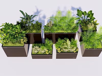 Modern Black Square Flower Planters With Various Green Plants And Foliage 3d model