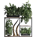 Elegant Garden Decor Display With Multi Tiered Shelves Various Plants And Decorative Ornaments