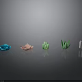 Colorful Decorative Plants In Blue Pink Green White Arranged On Black Background With Reflection