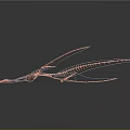 Pink Pterosaur 3D Wireframe Model With Elongated Wings And Dark Background