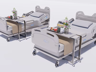 Adjustable Mobile Medical Beds With Tray Tables And Side Rails For Patient Care 3d model