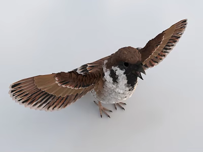 Realistic Flying Animal Sparrow Spreading Wings With Brown And White Feathers Standing On White Surface 3d model
