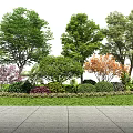 Colorful Shrubs in Garden Landscape with Various Trees Green Grass and Stone Path