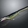 Prehistoric Marine Reptile With Long Slender Body Open Mouth Flipper Limbs And Spotted Skin