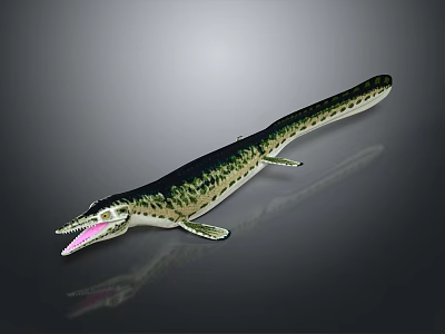 Prehistoric Marine Reptile With Long Slender Body Open Mouth Flipper Limbs And Spotted Skin 3d model