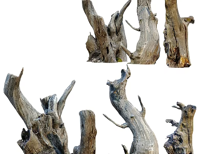 Natural Garden Ornaments Featuring Driftwood And Tree Stumps For Rustic Design 3d model
