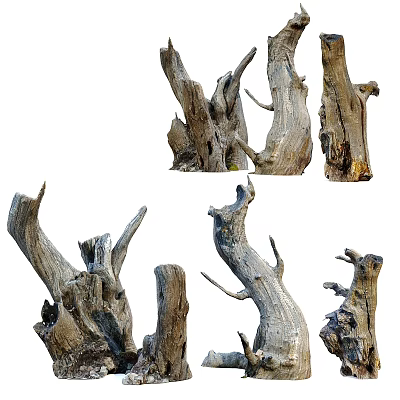 Natural Garden Ornaments Featuring Driftwood And Tree Stumps For Rustic Design 3d model