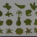 Various Shaped Decorative Garden Bushes With Green Foliage And Different Designs