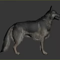 Wolf Cartoon Wolf Animation Wolf Animation Wolf Big Bad Wolf Warrior Cartoon Character Cartoon Animal 3d model