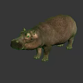 Lifelike Large Hippopotamus Standing On Dark Smooth Surface With Glossy Reflection 3d model