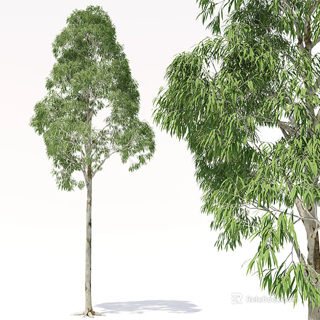 Tall Green Arbor Trees With Lush Canopy And Thick Trunk 3d model 