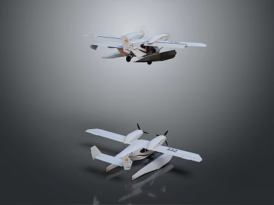 Detailed Passenger Aircraft Models Showcasing Wing Structure And Fuselage Design From Different Angles 3d model