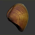 Orange Yellow Striped Shell Shaped Sculpture with Polished Surface and Smooth Texture