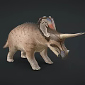 Realistic Triceratops 3D Model With Large Horns Decorative Frill And Textured Body