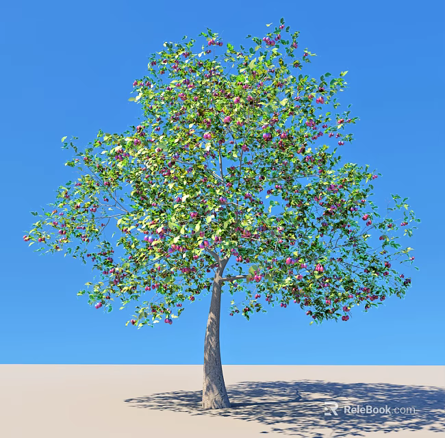 Lush Green Leafy Arbor With Red Fruits Against Clear Blue Sky 3d model 