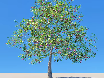 Lush Green Leafy Arbor With Red Fruits Against Clear Blue Sky 3d model