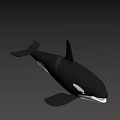 Realistic Black And White Orca Swimming In Blue Background