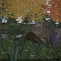 Beautiful Garden With Purple Flowers Ferns Large Rock And Autumn Trees Around Small Pond