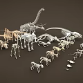 Dinosaur and Animal Skeleton Models Collection with Various Species and Sizes