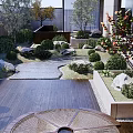 Japanese Zen Garden Design With Wooden Deck Stone Path And Lush Greenery