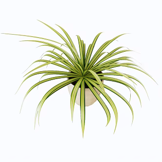 Modern potted plant potted shoots 3d model