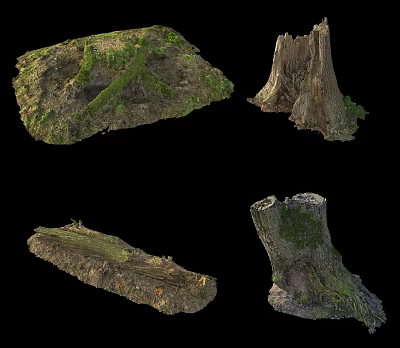 Modern tree stump tree stump dead wood dead branch 3d model Modern tree stump tree stump dead wood dead branch 3d model