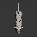 Dalmation Puppy With Black Spots On White Coat Standing On Shiny Black Surface